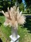 Natural Dried Pampas Grass Boho Home Decor Dried Flowers Bouquet Floral Home Decorations Reed Grass